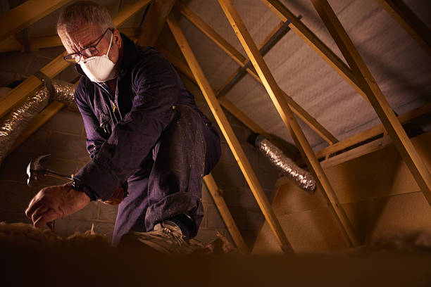 Best Insulation Installation Services in Claryville, KY